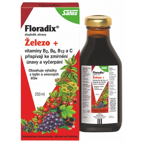 Obrázok Salus Floradix 250ml