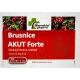 Slovakiapharm Brusnice AKUT Forte 20 cps