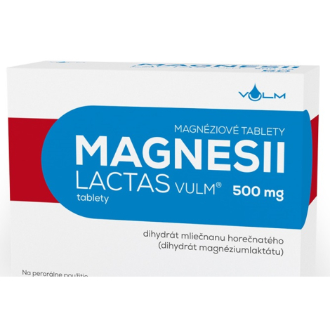 Vulm Magnesii lactas 500 mg 60 tbl