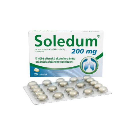 E-shop Soledum 200 mg mäkké gastrorezistentné kapsuly 20 cps