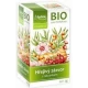 APOTHEKE BIO Čaj Hrejivý zázvor s rakytníkom n.s.