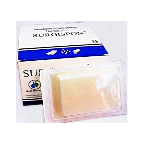 Surgispon Standard 80x50x10 mm 10 ks