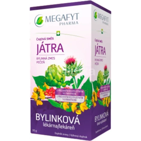MEGAFYT Bylinná zmes pečeň porciovaný čaj