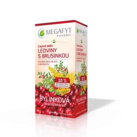 MEGAFYT Bylinková lekáreň Obličky a močové cesty porciovaný čaj 20x1,5g
