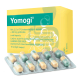 Yomogi cps dur 250 mg 10 ks
