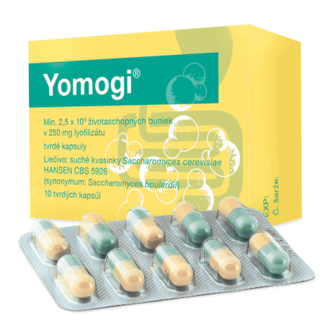 E-shop Yomogi cps dur 250 mg 10 ks