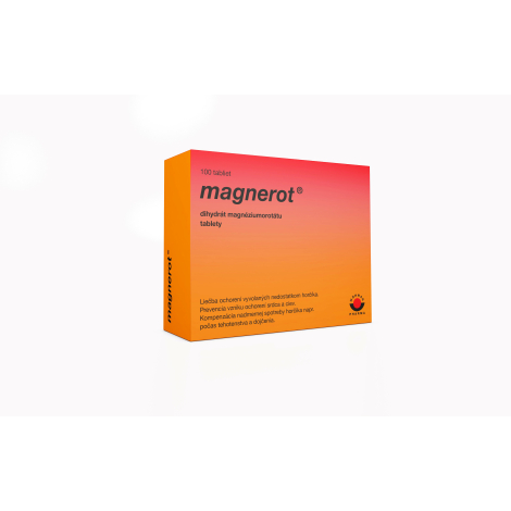 Magnerot tbl.100 x 500 mg