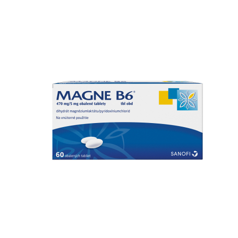 E-shop Magne B6 60 tbl