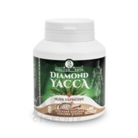 DIAMOND YACCA + hliva ustricová