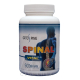 SPINAL VITAL