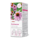 Dr.Max Echinacea