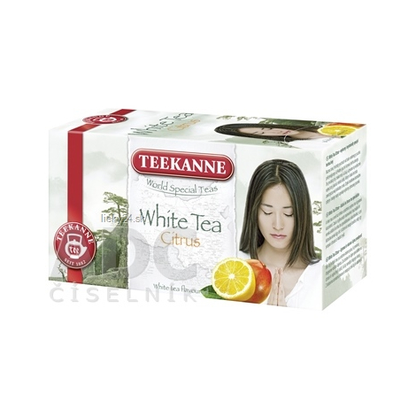 TEEKANNE WST WHITE TEA CITRUS