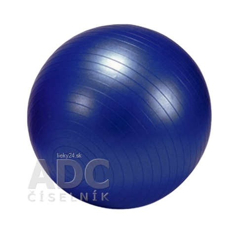 GYMY OVER BALL REHABILITAČNÁ LOPTA 25 cm