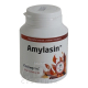 Brainway Amylasin