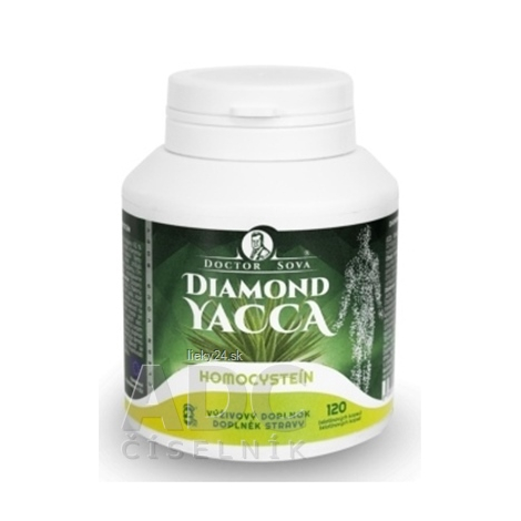 DIAMOND YACCA Homocysteín