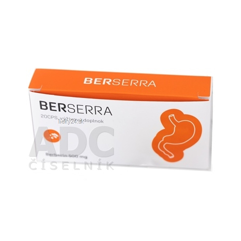 E-shop BERSERRA