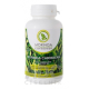 MORINGA Moringa Caribbean (standard)