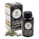 MORINGA Moringa Caribbean PREMIUM