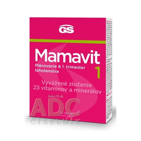 GS Mamavit 1, Plánovanie a 1. trimester