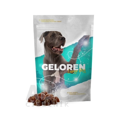 Geloren Large Dog