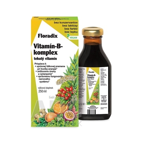 SALUS Floradix Vitamín-B-komplex
