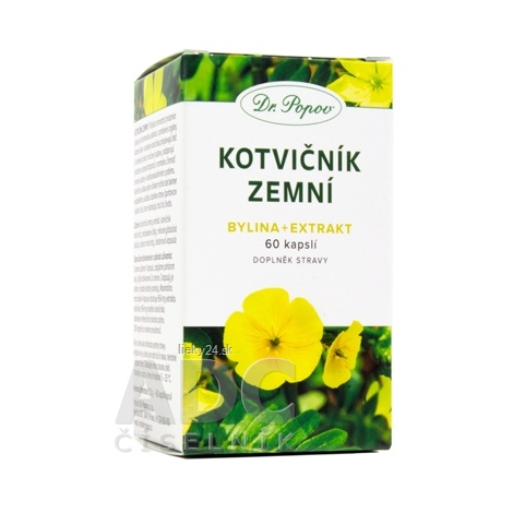 Dr. Popov Zemná sasanka bylina + extrakt kapsuly na podporu zdravej hormonálnej činnosti 60 cps