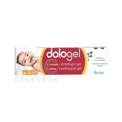 dologel 1. zúbok