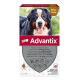 Advantix Spot-on pre psy od 40 do 60 kg