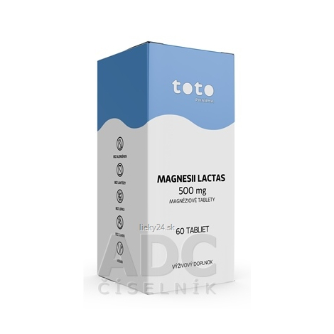 TOTO MAGNESII LACTAS 500 mg