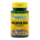Veganicity CHELATED IRON - chelát železa 24 mg