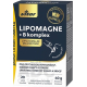 VITAR KINGS LIPOMAGNE + B komplex