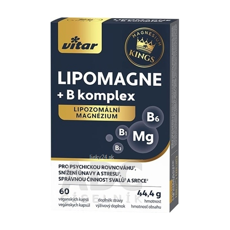 VITAR KINGS LIPOMAGNE + B komplex