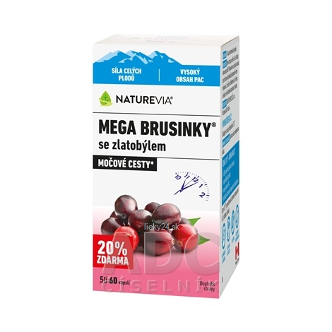 NATUREVIA MEGA BRUSNICE so zlatobyľou