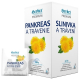 HERBEX PANKREAS A TRÁVENIE