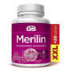 GS Merilin XXL