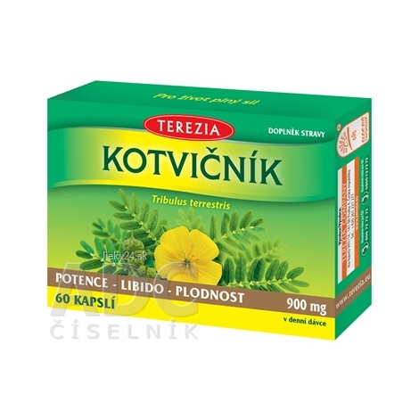 TEREZIA KOTVIČNÍK