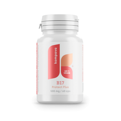 Kompava B17 Protect Plus 500mg / 60 kps
